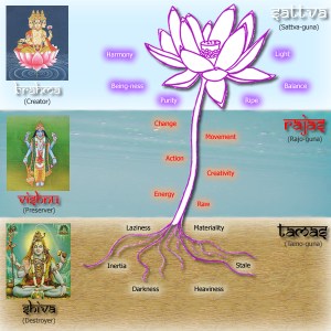 gunas_diagram